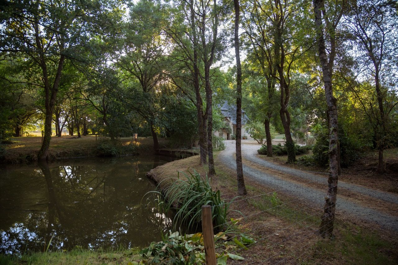 L'étang et l'allée d'entrée sous les arbres