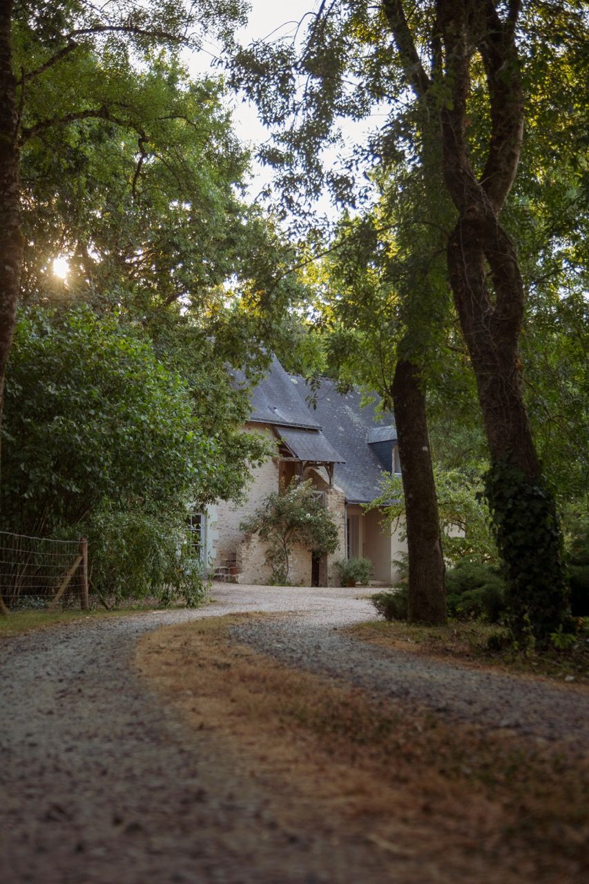 L'arrivée par l'allée, la maison au fond sous les arbres