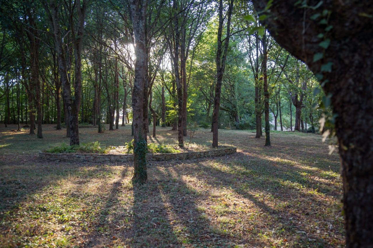 Le sous-bois au couchant, massif circulaire de pierre