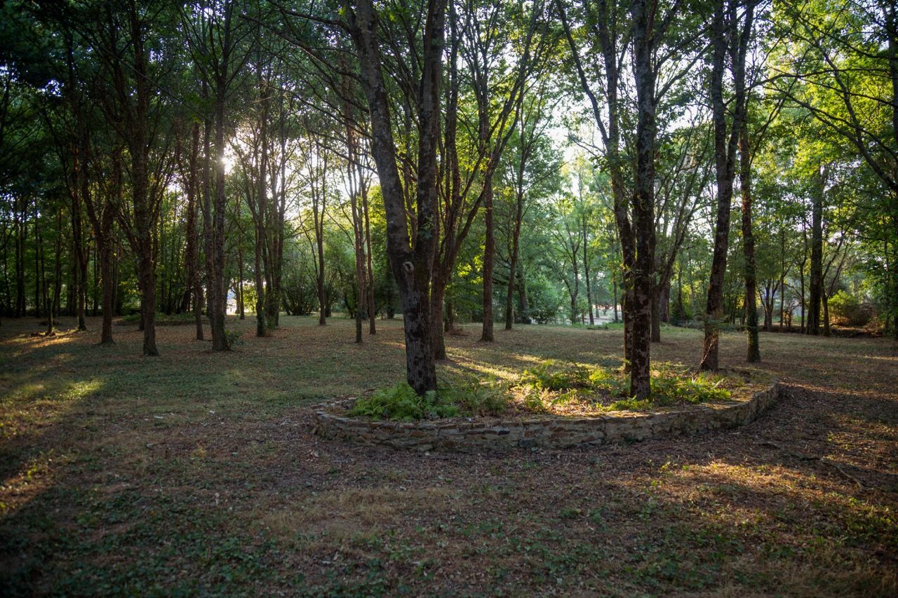 Le sous-bois et son muret de pierre